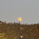 이쁜달 이미지