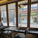 율목애견 이미지