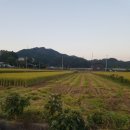 안말농장 이미지