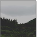 용암길 이미지