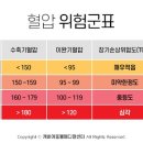 캐비어동물메디컬센터 스포츠경향