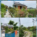 홍예민박 이미지