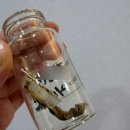 뉴이자르 산후조리원 태릉점 이미지