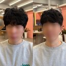 [서울/동대문] 애견동반 가능 남자머리잘하는 곳 회기미용실 '살롱드리본'