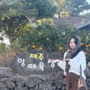 성인목장 | [제주]제주도 양떼목장 다녀온 찐 찐 후기 🐑💚