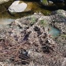 주민축산 이미지