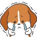 참콩떡집
