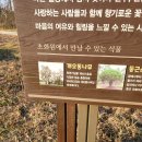 보불로(동) 네이버블로그