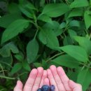 주안4동 행정복지센터 이미지