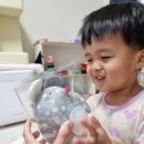 인형의 거리(쥐) 이미지