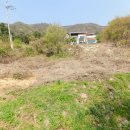 유영목장 이미지