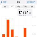 세븐일레븐(원문점) | [삿포로 워홀 ~D+10] 힙한 삿포로 사람들은 절대 우산을 쓰지않아