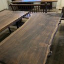 여수동진갈매기 이미지