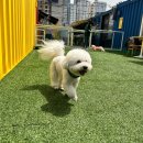 털로덮인 친구들 커먼그라운드점 이미지