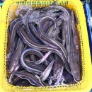 경포회센타 이미지