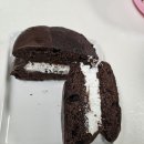 속초향