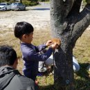 꿈이자라는땅 이미지