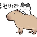 떡볶이참잘하는집떡참창원 - 창원시 마산회원구 양덕로 164-1 | 떡볶이참잘하는집떡참창원