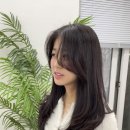 명진드라이 이미지