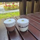 4704 | [대전 중구 디저트 맛집] 포잎 poip 수제 푸딩 후기♡ 네잎클로버 감성 가득한 카페