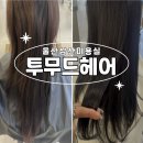 투무드 헤어