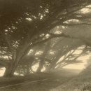 포토갤러리 이미지