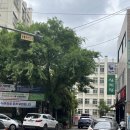 대구한약재도매시장 | 대구 중구 약전골목 삼계탕 맛집 약전한방삼계탕 식사부터 포장까지 후기