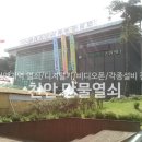 금산인삼만물