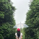 무도목장 이미지