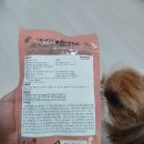 콩이네 | 기호성 좋은 건강한 강아지 수제 화식[콩이네 방앗간] 급여 후기