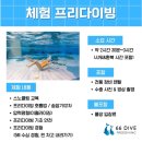 창원실내수영장 수영장 | [창원 마산 진해 프리다이빙] 창원실내수영장 프리다이빙 체험 후기