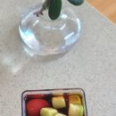 토마토 댄스스포츠학원 이미지
