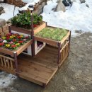 꿈꾸는 강아지 이미지