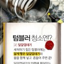 꿀팁백과