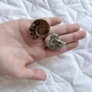 국립공주대학교 | 국립공주대학교 과학영재교육원