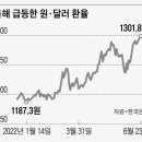 2022.06.26 70대 건물주 고독사.. 비참한 비극..미분양 공포..비수도권서 속출하는 '마피' 거래 강의 이미지