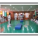 쌍호태권도장 이미지