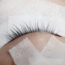 레푸스n바바 이미지