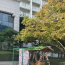 홍천 비발디파크 소노벨 B,C동 객실 룸 컨디션 아기랑 갈만한 곳