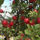 외성농장 이미지