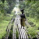 노무현이 확보한 나이지리아 유전사업 날려먹은 듯 이미지