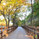 모두여행(무장애 여행) 이미지