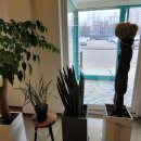 카페판타지아 이미지