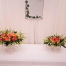 씨엘로펫 이미지