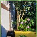 서현민박 이미지