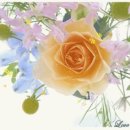 당쟁이로 이미지