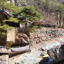 면봉산식당 이미지