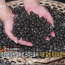 콩이랑 베리랑 이미지