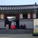 하루다과 이미지