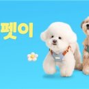 개린이날 대한경제